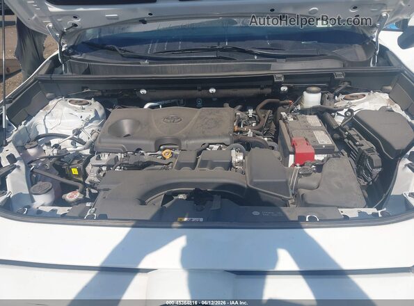 2T3P1RFV6RW445886 2024 TOYOTA RAV4 White 