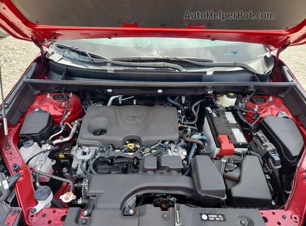 2T3P1RFV7SW623343 2025 TOYOTA RAV4 Red Вид задньої частини салону