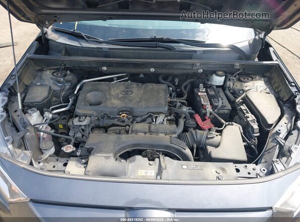 2T3P1RFV8KW081587 2019 TOYOTA RAV4 Gray Вид ззаду