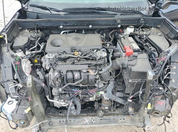 2T3P1RFV8PC389500 2023 TOYOTA RAV4 Black 