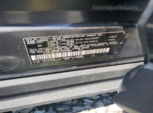 2T3P1RFV9LC065000 2020 TOYOTA RAV4 Charcoal Vista del compartimento del motor