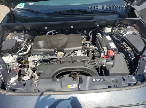 2T3P1RFV9LC065000 2020 TOYOTA RAV4 Charcoal Vista interior trasera