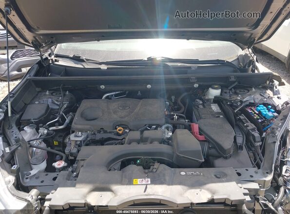 2T3P1RFV9PC347871 2023 TOYOTA RAV4 Gray Widok z tyłu