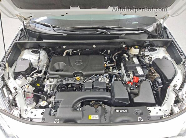 2T3P1RFV9PW402804 2023 TOYOTA RAV4 Белый 