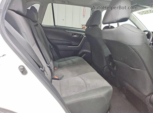 2T3P1RFV9PW402804 2023 TOYOTA RAV4 Белый 