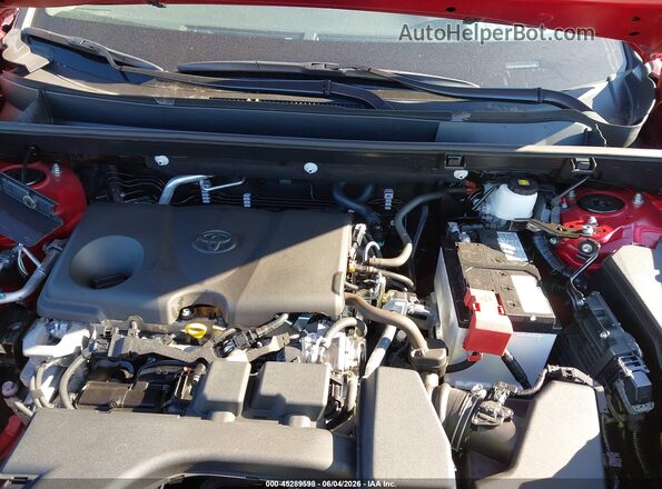 2T3P1RFV9SW499270 2025 TOYOTA RAV4 Красный Вид сзади