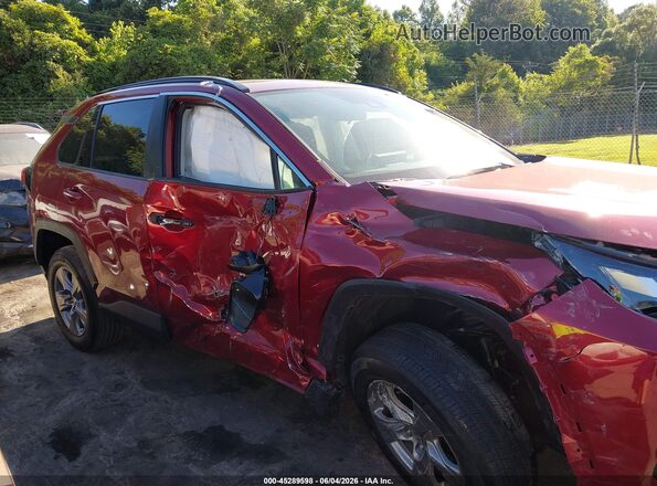 2T3P1RFV9SW499270 2025 TOYOTA RAV4 Красный Вид задней части салона
