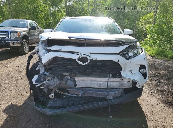 2T3R1RFV1KW025922 2019 TOYOTA RAV4 White Vista frontal