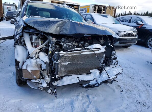 2T3R1RFV3RC439991 2024 TOYOTA RAV4 Charcoal VIN կոդի պիտակի տեսք