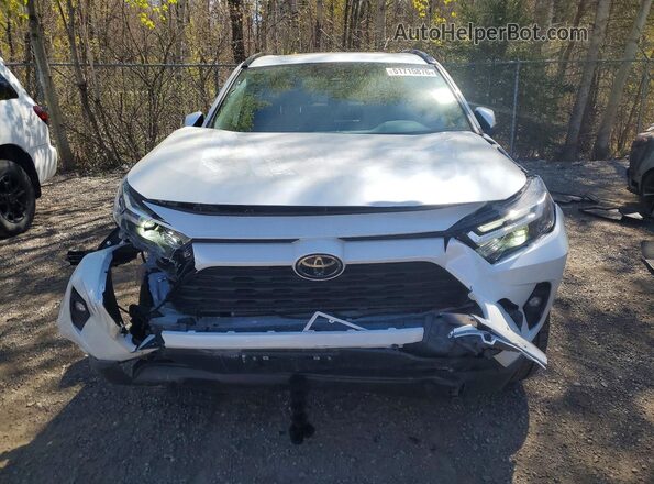 2T3R1RFV4SW574045 2025 TOYOTA RAV4 Белый 