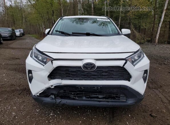 2T3R1RFV6LW087866 2020 TOYOTA RAV4 White 