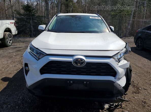 2T3R1RFV8MC227161 2021 TOYOTA RAV4 White 