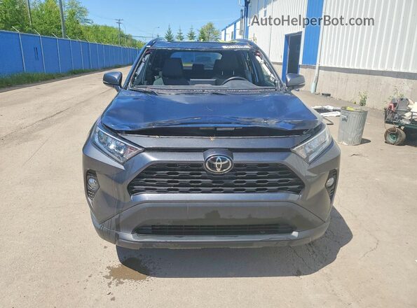 2T3R1RFV9MC202365 2021 TOYOTA RAV4 Gray Вид спереду