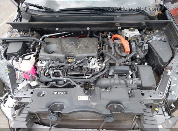 2T3R6RFV5MW015575 2021 TOYOTA RAV4 HYBRID Gray Vista trasera