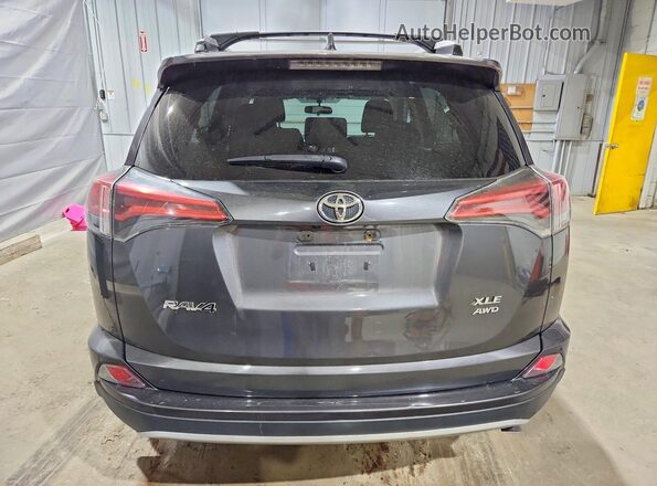 2T3RFREV0GW464054 2016 TOYOTA RAV4 Gray Вид ззаду
