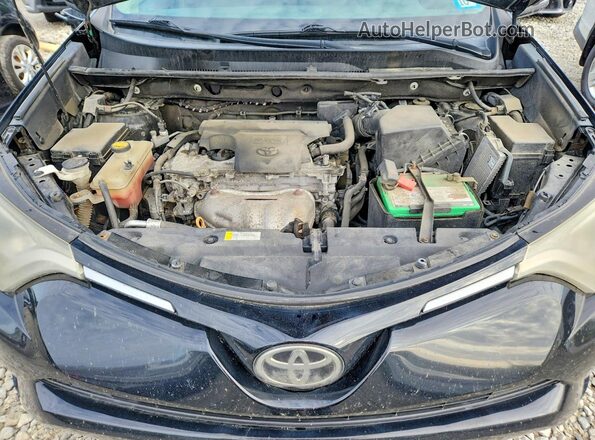 2T3RFREV0HW578914 2017 TOYOTA RAV4 Black Շարժիչի բաժամունքի տեսք