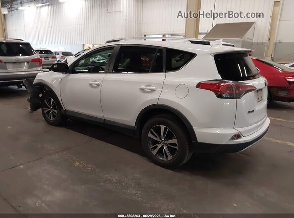 2T3RFREV1GW442550 2016 TOYOTA RAV4 Белый Задняя левая четверть