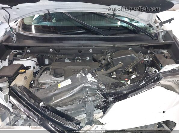2T3RFREV1GW442550 2016 TOYOTA RAV4 Белый Вид сзади