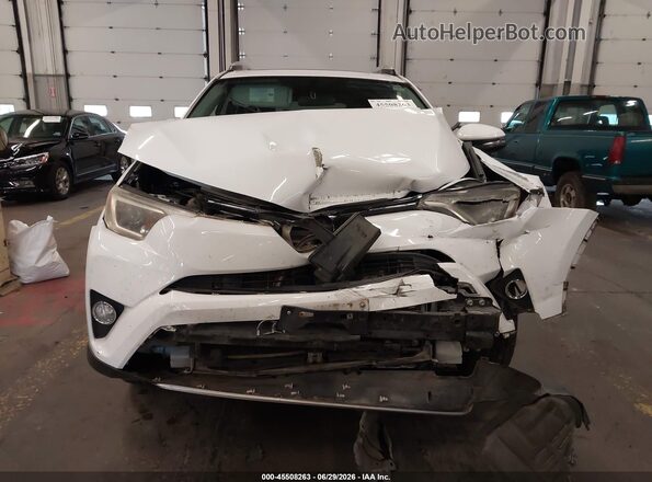 2T3RFREV1GW442550 2016 TOYOTA RAV4 Белый Вид задней части салона