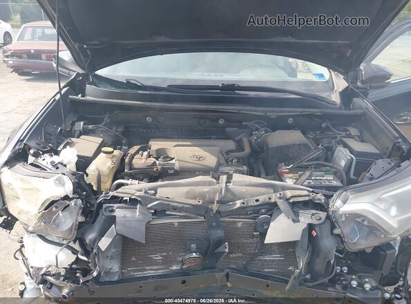 2T3RFREV1GW455315 2016 TOYOTA RAV4 Черный Вид сзади