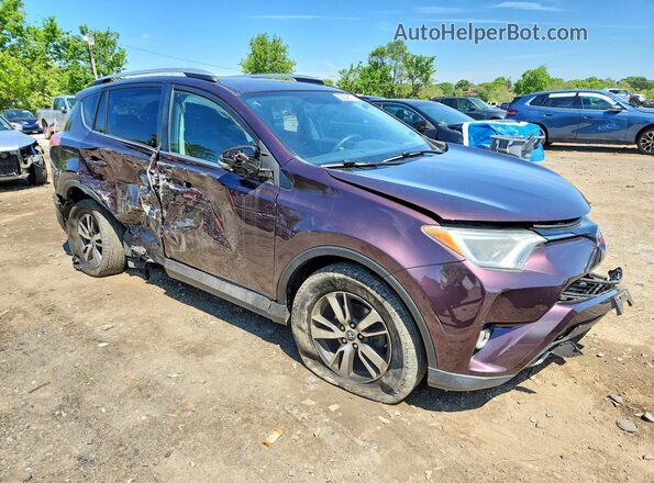 2T3RFREV2GW487478 2016 TOYOTA RAV4 Purple 