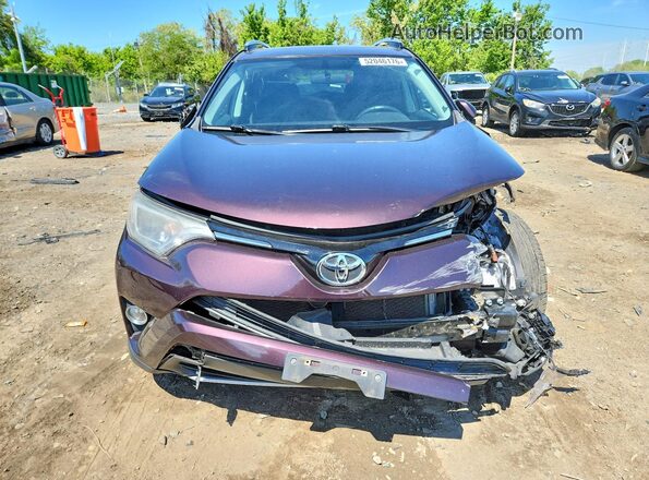 2T3RFREV2GW487478 2016 TOYOTA RAV4 Purple 