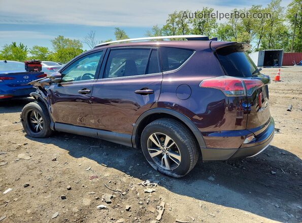 2T3RFREV2GW487478 2016 TOYOTA RAV4 Purple 