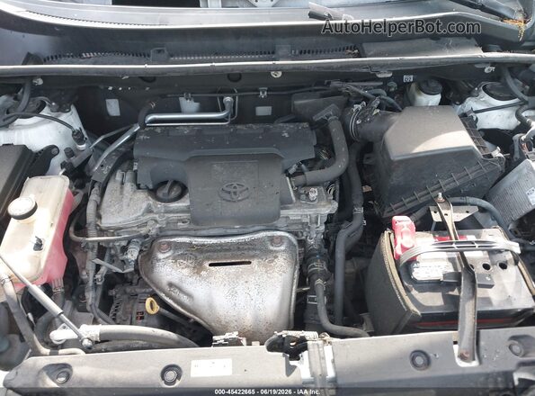 2T3RFREV4GW506743 2016 TOYOTA RAV4 White Widok z tyłu