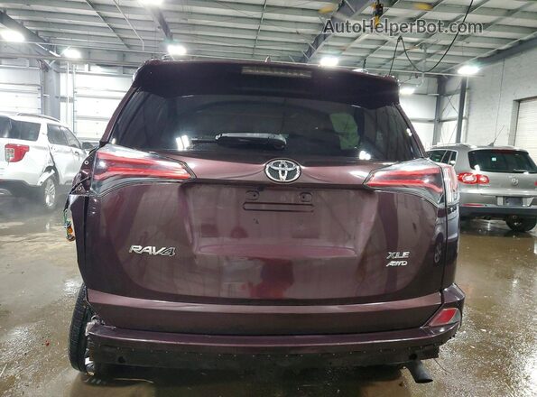 2T3RFREV5HW607792 2017 TOYOTA RAV4 Purple Вид ззаду