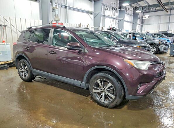 2T3RFREV5HW607792 2017 TOYOTA RAV4 Purple Передня права чверть