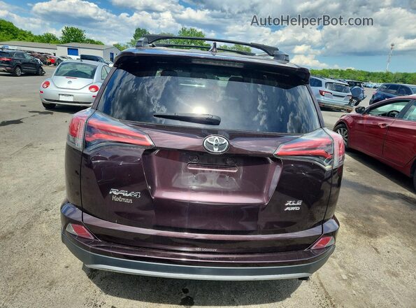 2T3RFREV6JW800006 2018 TOYOTA RAV4 Burgundy 