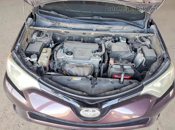 2T3RFREV7HW615425 2017 TOYOTA RAV4 Purple 