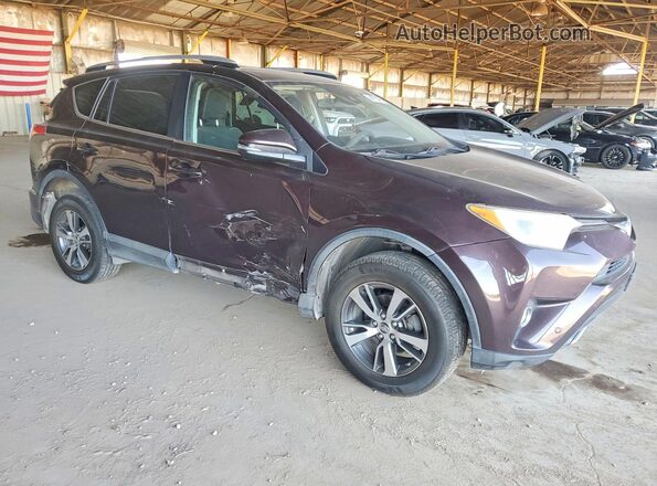 2T3RFREV7HW615425 2017 TOYOTA RAV4 Purple 