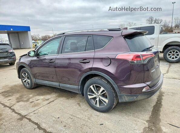 2T3RFREV8HW657229 2017 TOYOTA RAV4 Purple Задня ліва чверть
