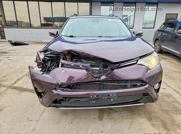 2T3RFREV8HW657229 2017 TOYOTA RAV4 Purple Вид спереду