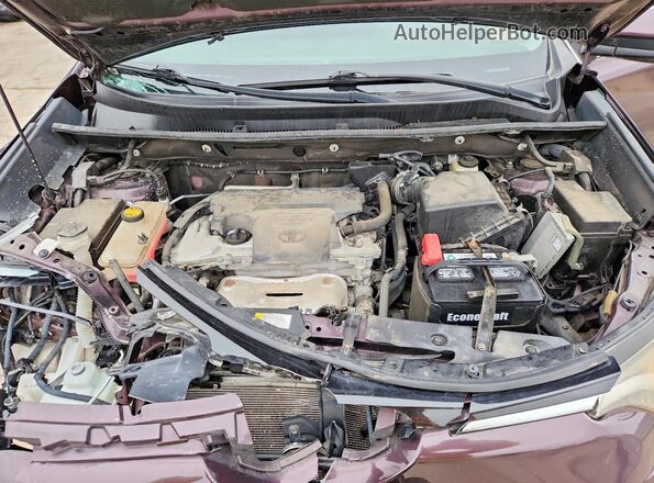 2T3RFREV8HW657229 2017 TOYOTA RAV4 Purple Вид задньої частини салону