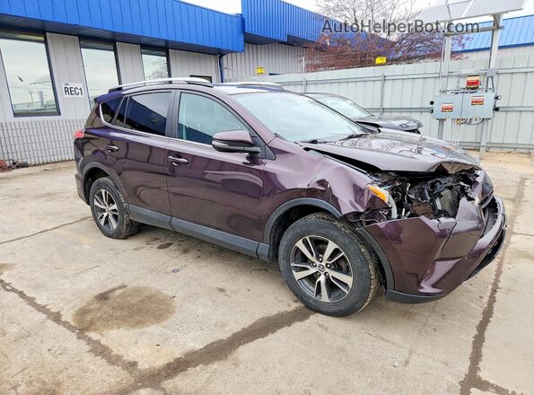 2T3RFREV8HW657229 2017 TOYOTA RAV4 Purple Передня права чверть
