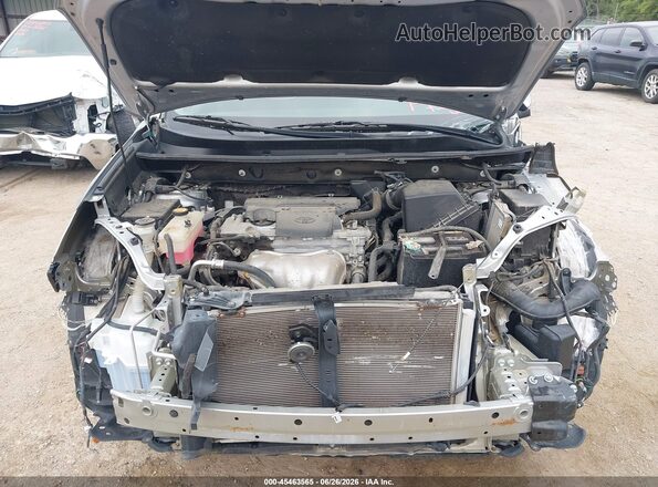 2T3RFREVXHW569007 2017 TOYOTA RAV4 Silver Widok z tyłu