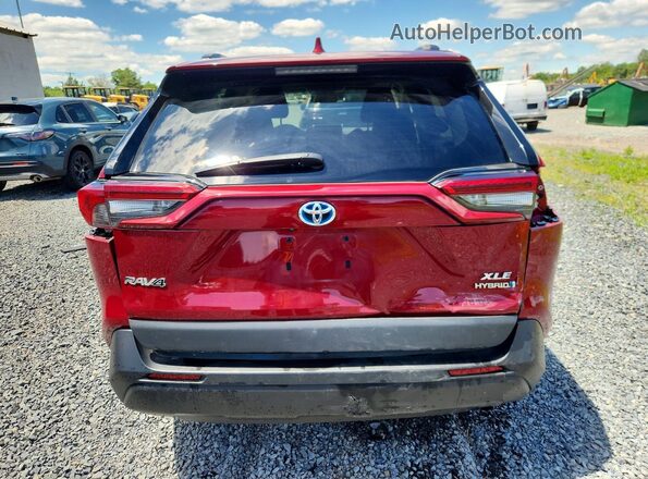 2T3RWRFV0LW066786 2020 TOYOTA RAV4 Red Հետևի տեսք