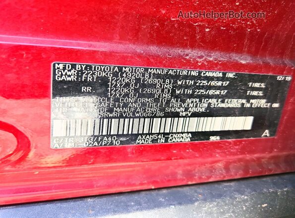 2T3RWRFV0LW066786 2020 TOYOTA RAV4 Red Սալոնի 360 աստիճան տեսք