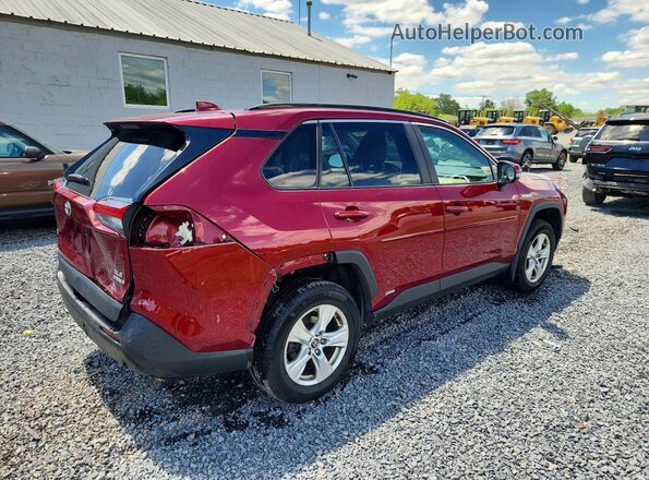 2T3RWRFV0LW066786 2020 TOYOTA RAV4 Red Հետևի աջ
