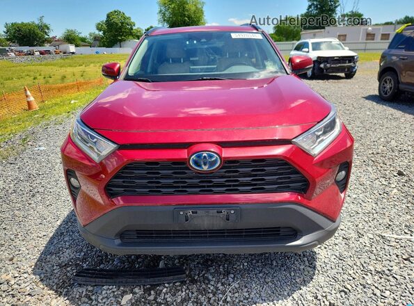 2T3RWRFV0LW066786 2020 TOYOTA RAV4 Red Դիմացի տեսք