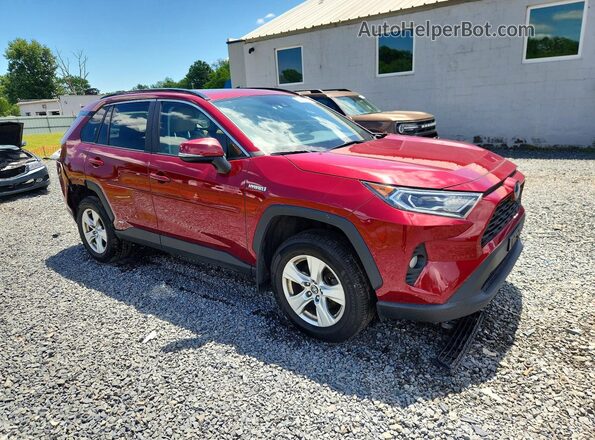 2T3RWRFV0LW066786 2020 TOYOTA RAV4 Red Առջևի աջ