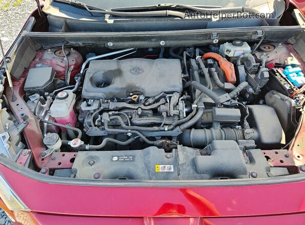 2T3RWRFV0LW066786 2020 TOYOTA RAV4 Red Շարժիչի բաժամունքի տեսք