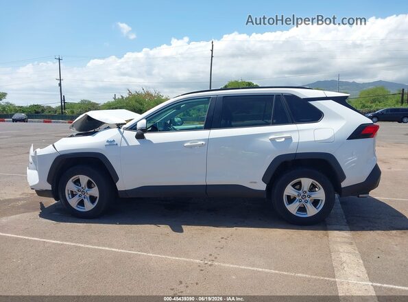 2T3RWRFV1KW025694 2019 TOYOTA RAV4 HYBRID White 