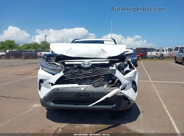 2T3RWRFV1KW025694 2019 TOYOTA RAV4 HYBRID White Вид задньої частини салону