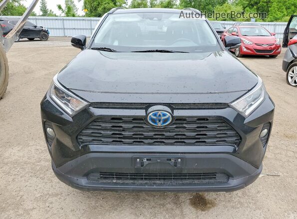2T3RWRFV1LW066831 2020 TOYOTA RAV4 Black წინა ხედი