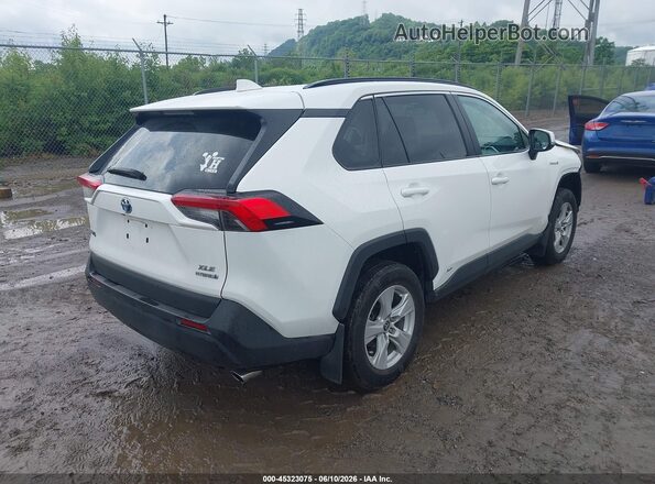 2T3RWRFV1MW117133 2021 TOYOTA RAV4 HYBRID Белый Задняя правая четверть