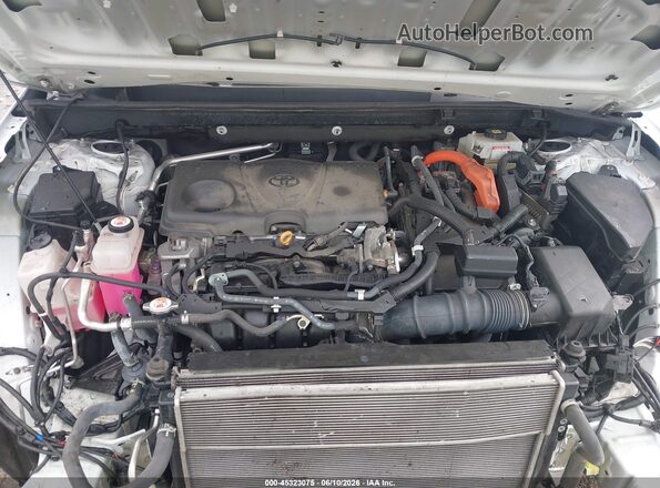2T3RWRFV1MW117133 2021 TOYOTA RAV4 HYBRID Белый Вид сзади