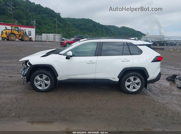 2T3RWRFV1MW117133 2021 TOYOTA RAV4 HYBRID Белый 